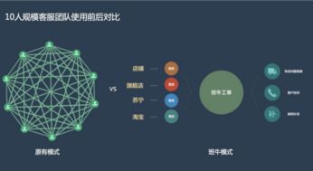 雙十一大促電商一站式售后解決方案軟件開發(fā)